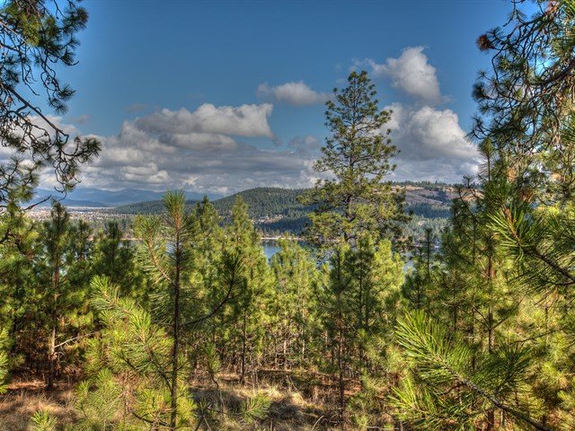 0 South Molter Road Liberty Lake, WA 99019 - Photo 8 of 9 Gallery Image 8