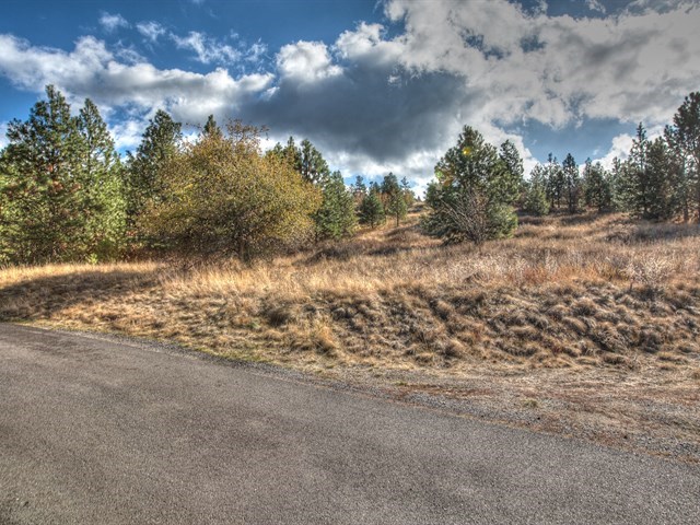 0 South Molter Road Liberty Lake, WA 99019 - Photo 9 of 9 Gallery Image 9