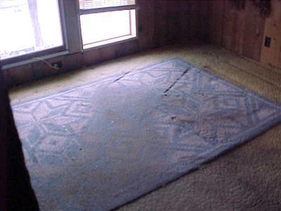 1901 South Fenner Lake Road Martin, MI 49070 - Photo 7 of 8 Additional Photo