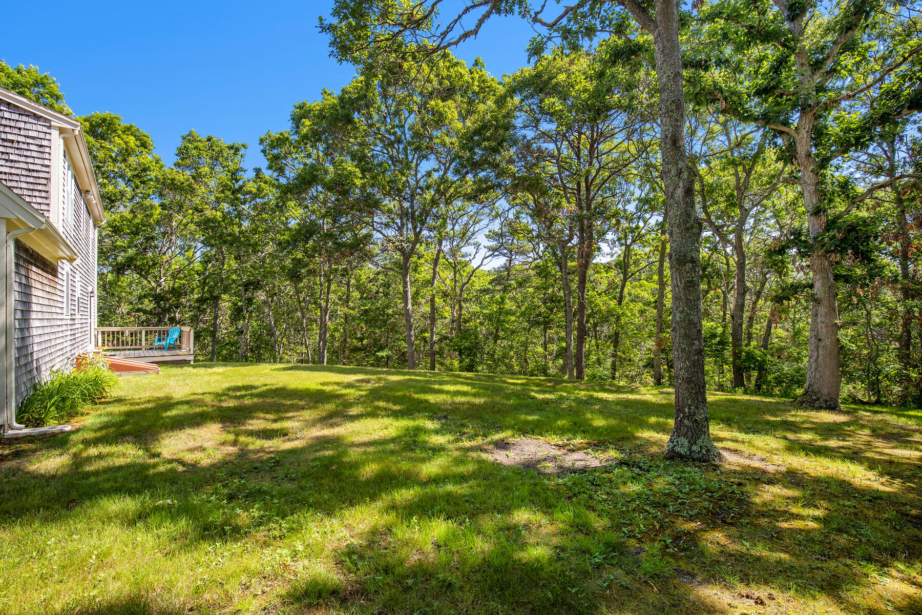 29 Carleton Drive Mashpee, MA 02649 - Photo 4 of 32 4 Back Yard