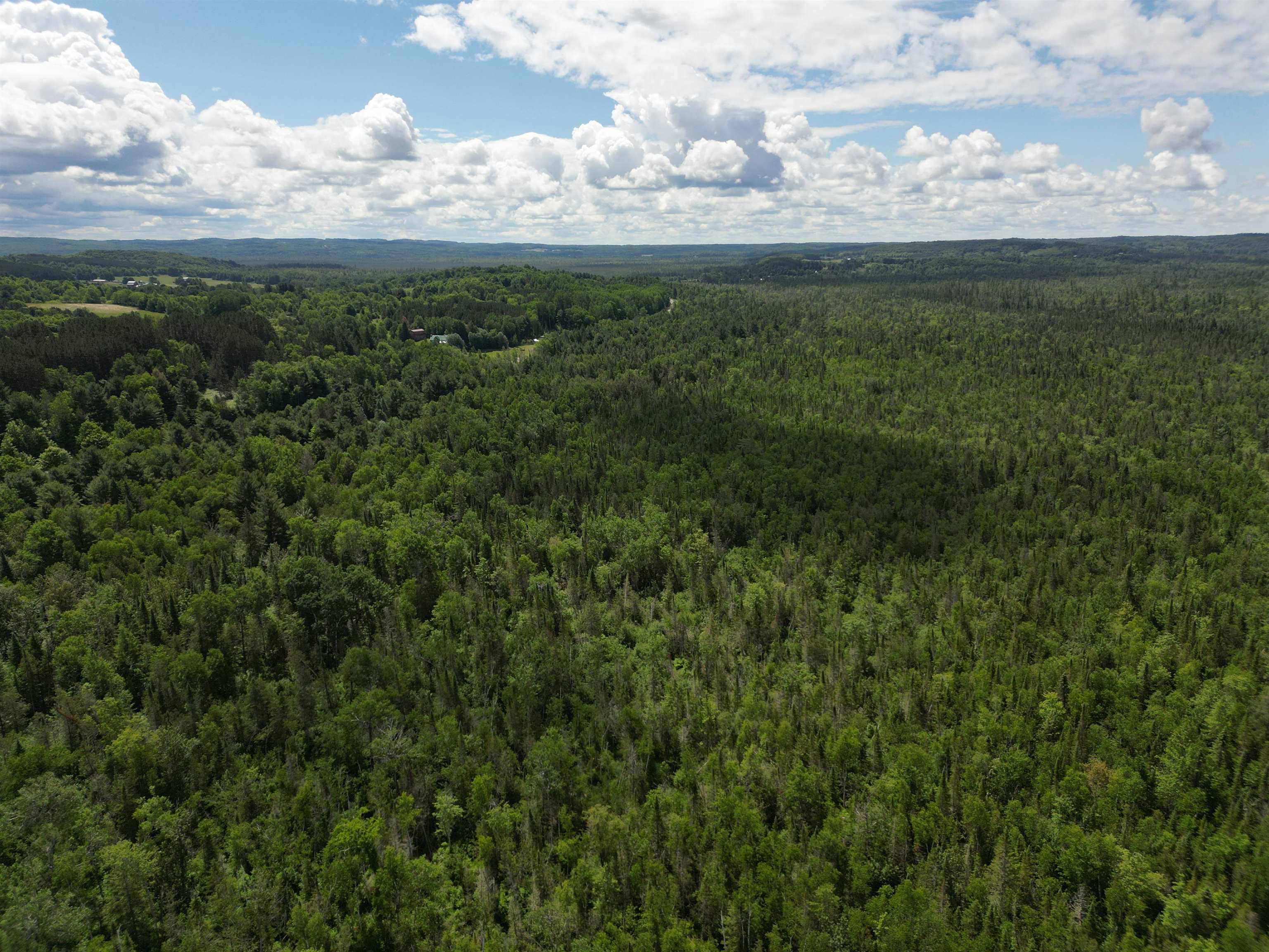 0 South Good Harbor Trail Cedar, MI 49621 - Photo 13 of 13