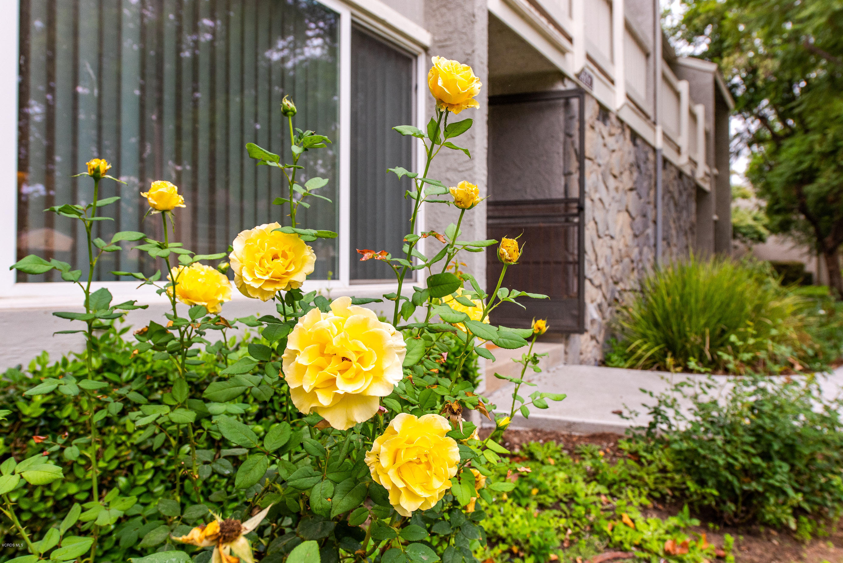 6479 Penn Street, Unit C Moorpark, CA 93021 - Photo 2 of 19 6479 Penn St Moorpark-3 Front