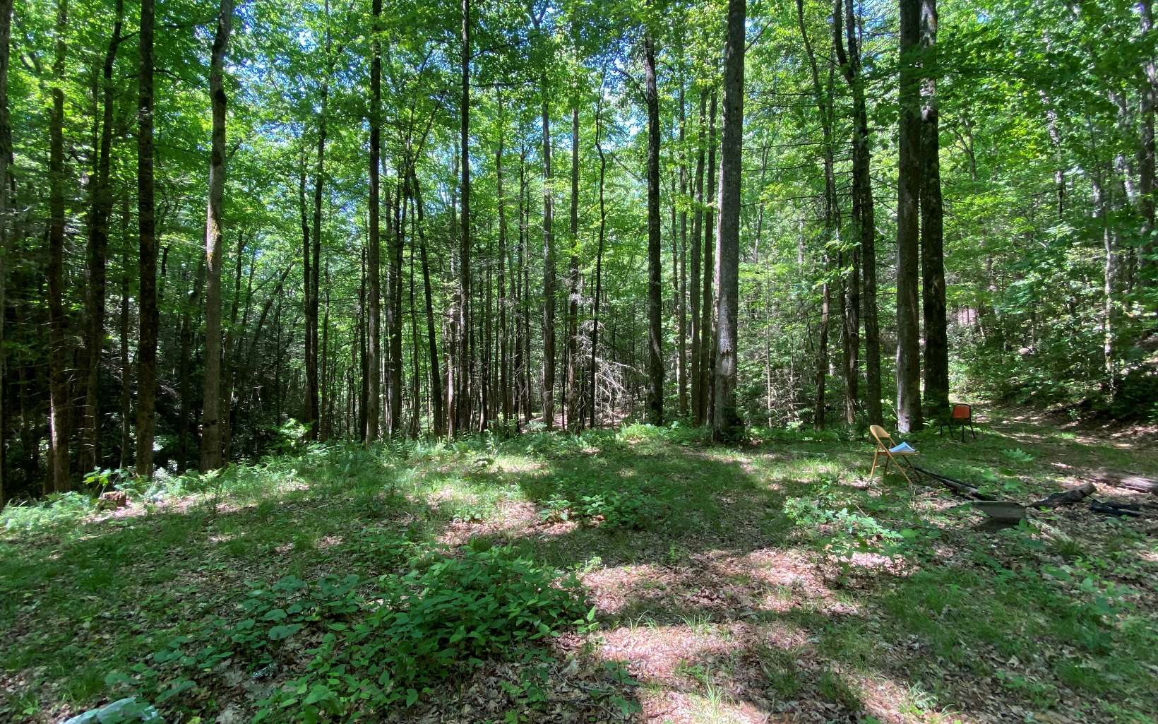 Na Copper Creek Road Murphy, NC 28906 - Photo 13 of 23 Additional View