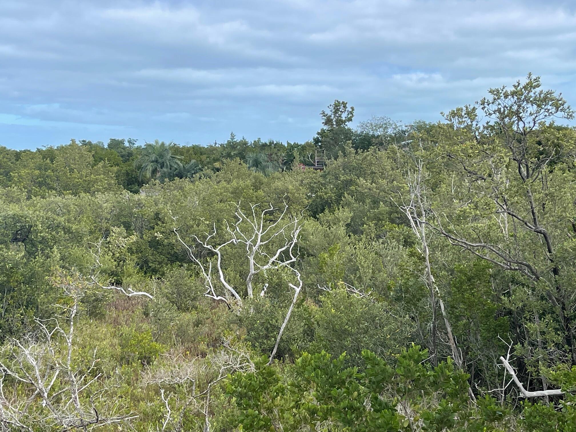 3127 Stewart Road Summerland Key, FL 33042 - Photo 58 of 64 1.65 Acres!