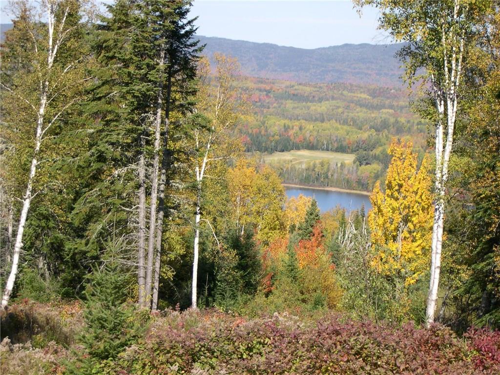 62 Moose Rdg Road Dallas Plt, ME 04970 - Photo 3 of 31 Haley Pond and mountain vistas