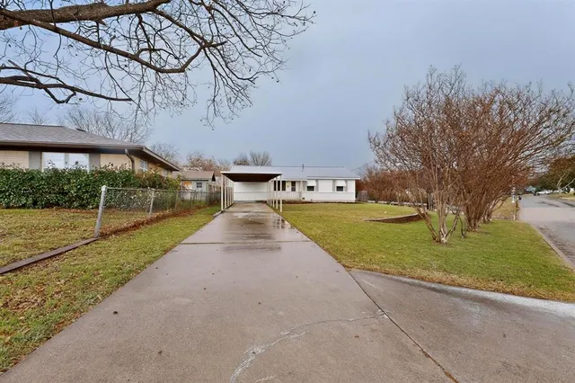 a view of backyard with tree