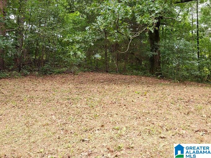 333 Ward Road Gardendale, AL 35071 - Photo 9 of 27