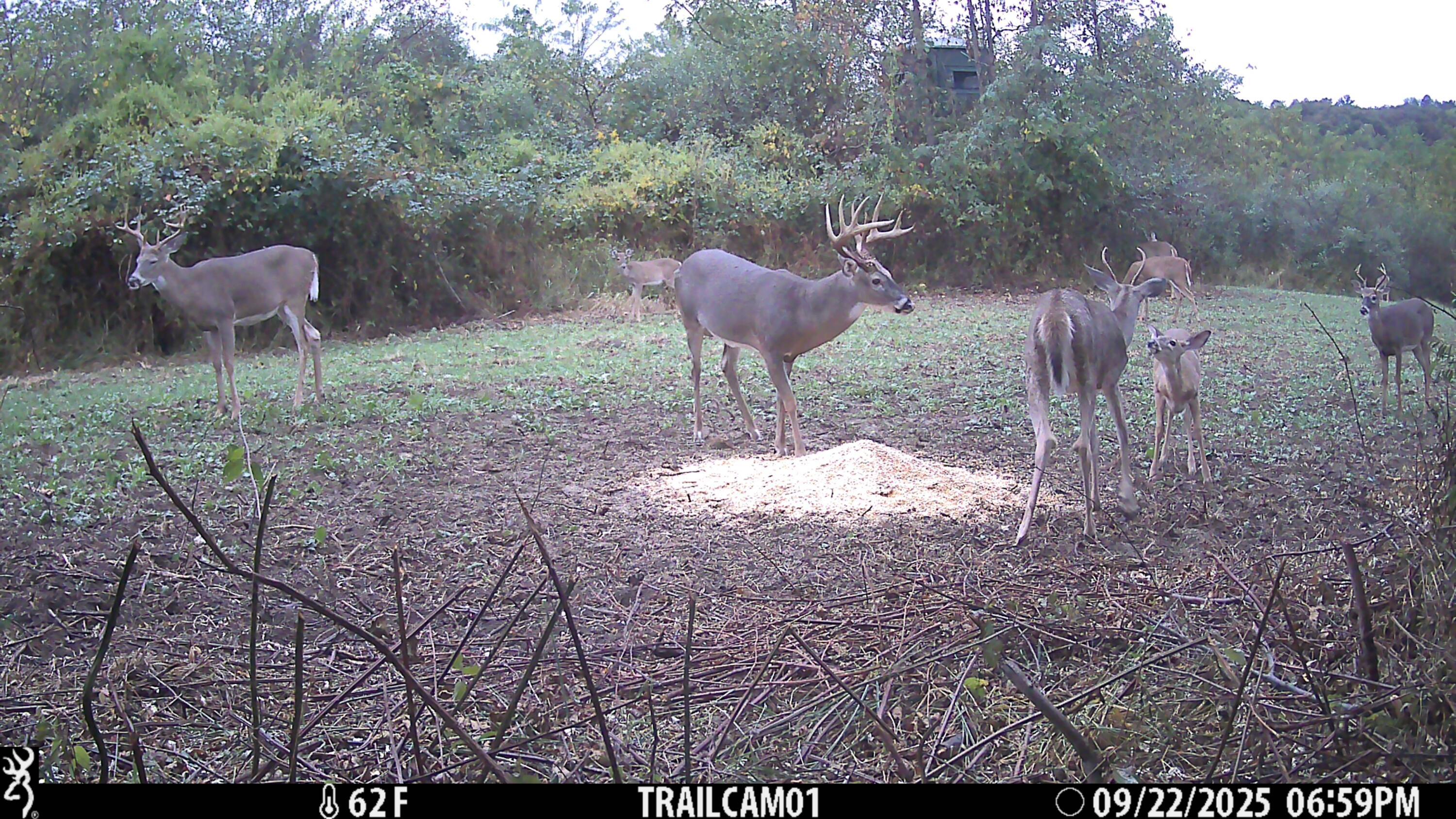 12680 Old Riley Road Frazeysburg, OH 43822 - Photo 90 of 95