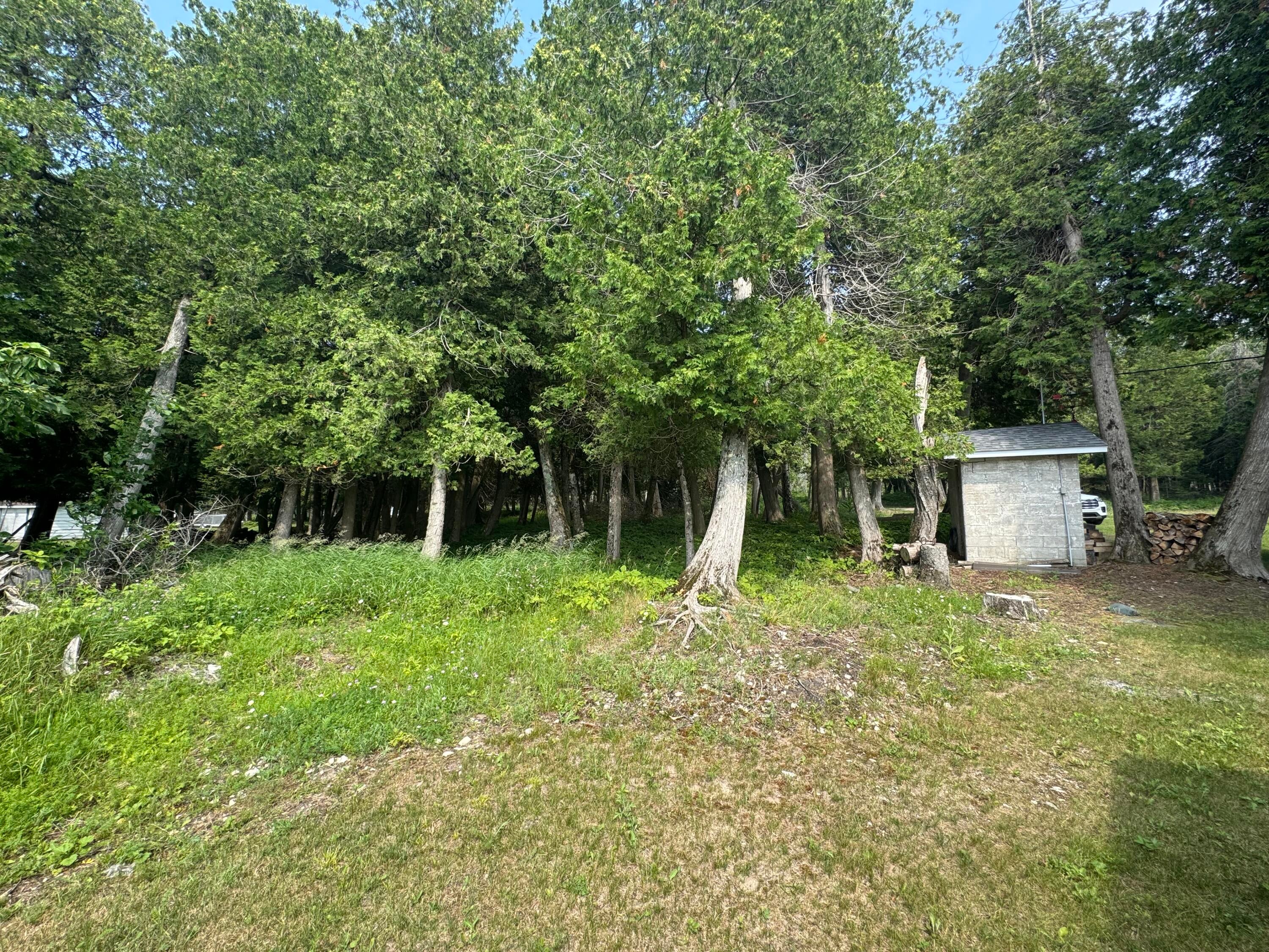 3798 St Martin Point Road Hessel, MI 49745 - Photo 28 of 38