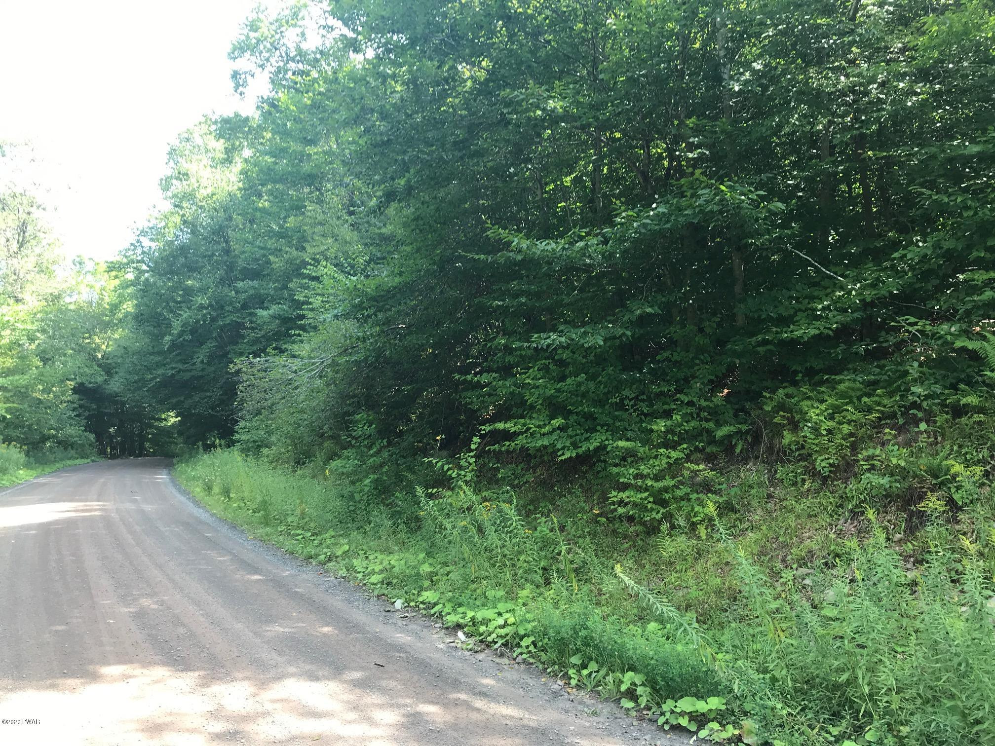 Creek Road Equinunk, PA 18417 - Photo 7 of 9