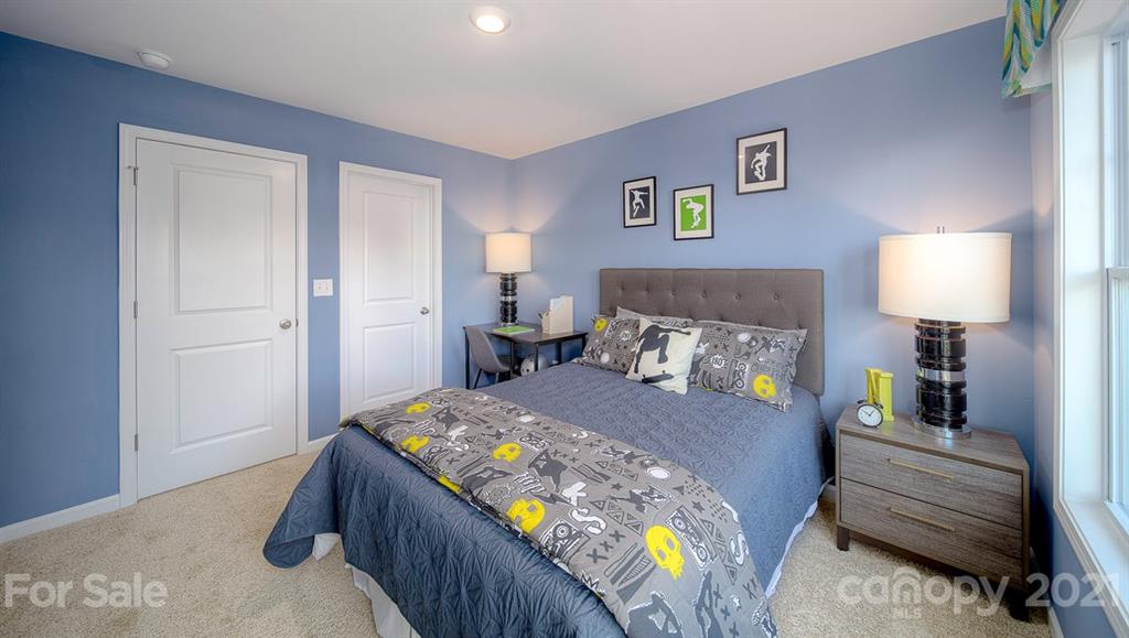 314 Bulrush Road Lake Wylie, SC 29710 - Photo 29 of 39 Gallery Image 29