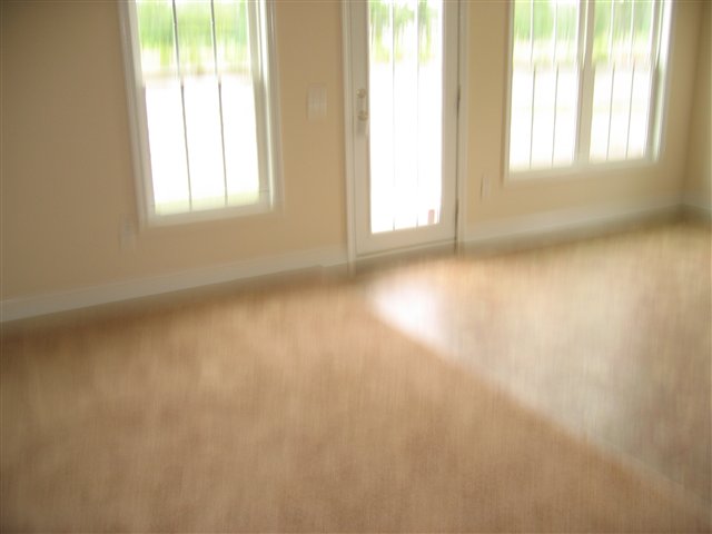 212 Family Farm Road Conway, SC 29526 - Photo 10 of 14 Gallery Image 10