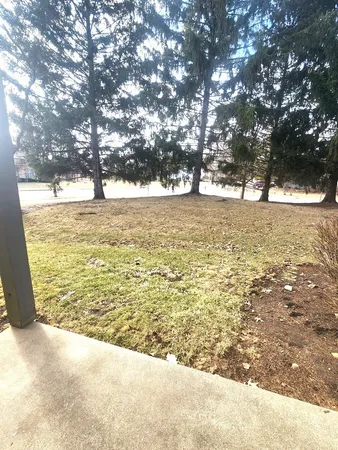 a view of yard with trees