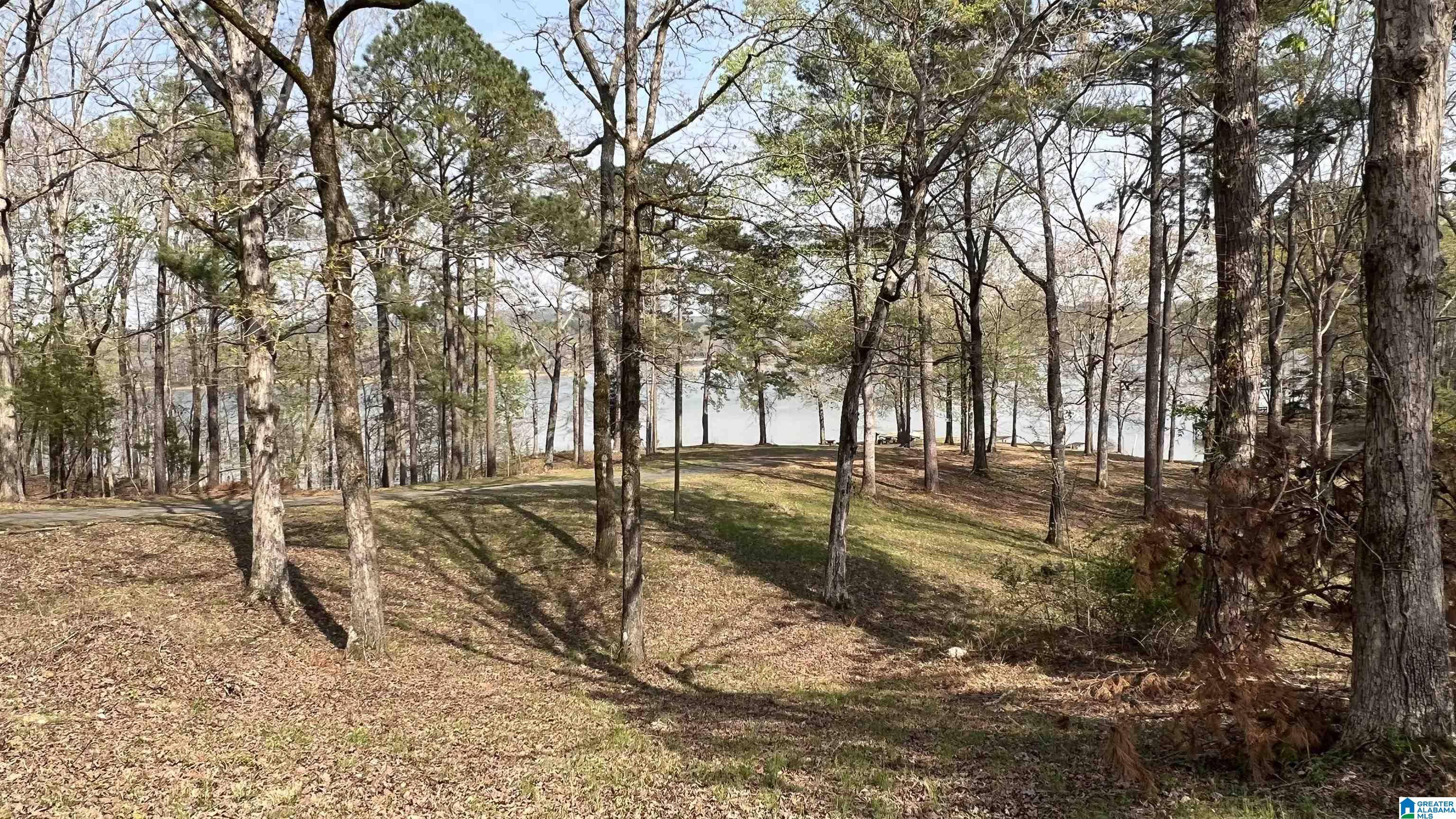 337 Tomahawk Trail Riverside, AL 35135 - Photo 65 of 68