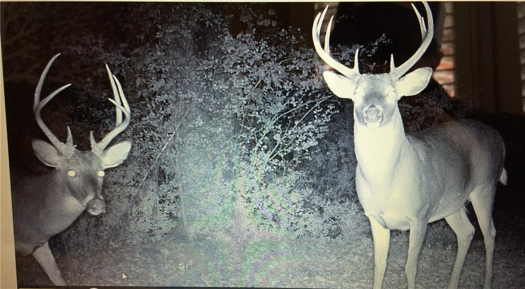 1585 Hays Mill Road Carrollton, GA 30117 - Photo 16 of 120