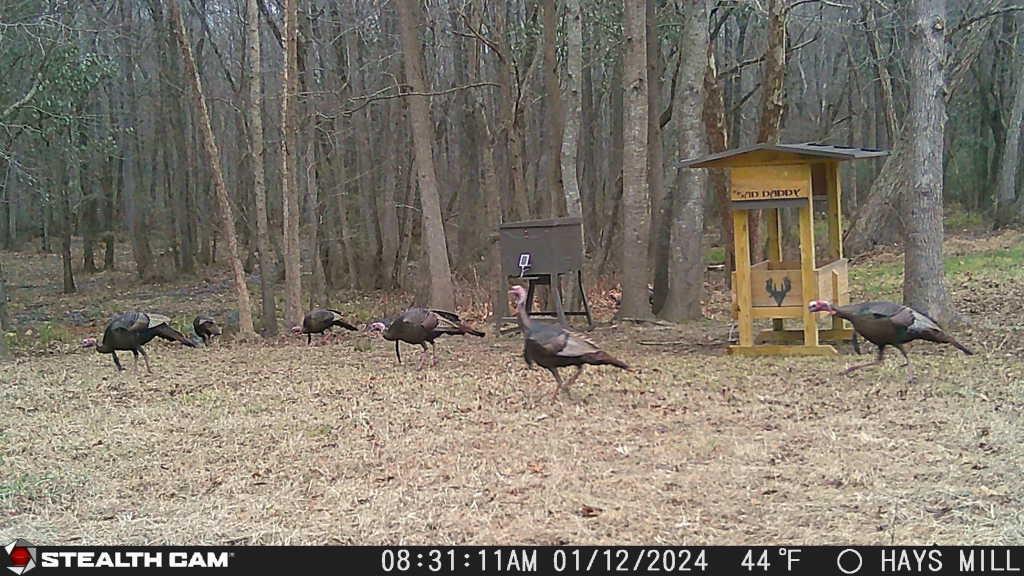 1585 Hays Mill Road Carrollton, GA 30117 - Photo 17 of 120