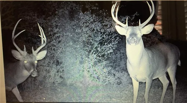 $1,495,000 | 1585 Hays Mill Road, Carrollton, GA 30117