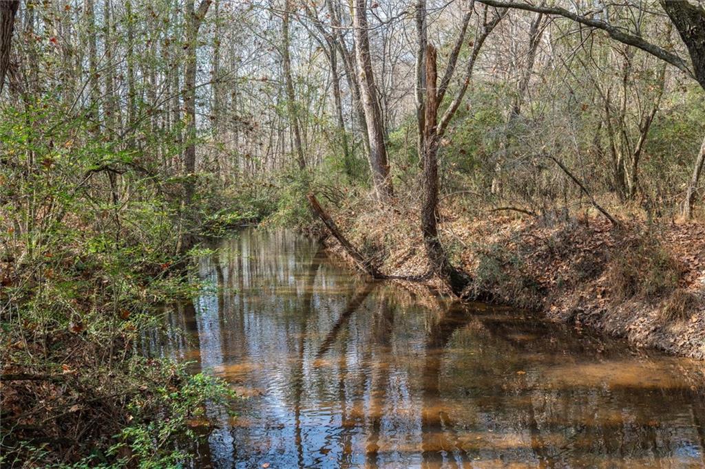 1585 Hays Mill Road Carrollton, GA 30117 - Photo 20 of 120