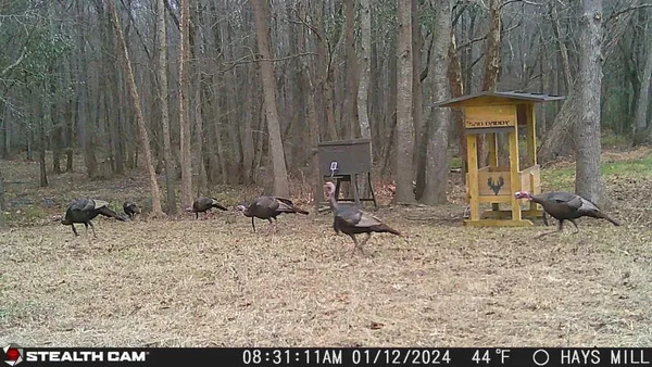 $1,495,000 | 1585 Hays Mill Road, Carrollton, GA 30117