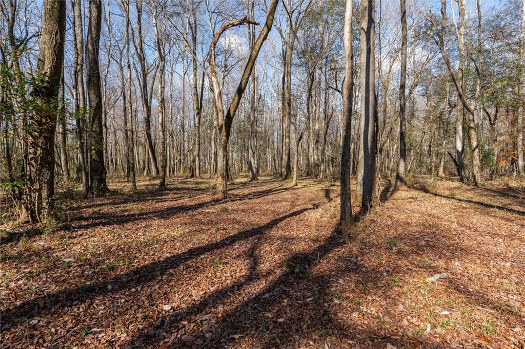 1585 Hays Mill Road Carrollton, GA 30117 - Photo 22 of 120