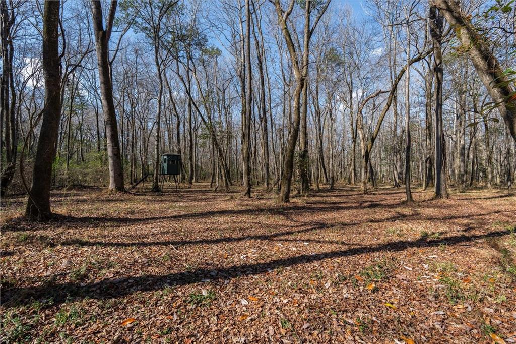 1585 Hays Mill Road Carrollton, GA 30117 - Photo 25 of 120