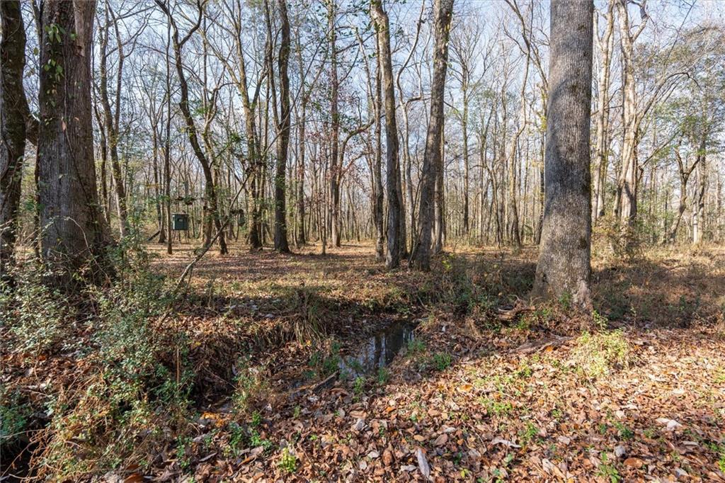 1585 Hays Mill Road Carrollton, GA 30117 - Photo 27 of 120