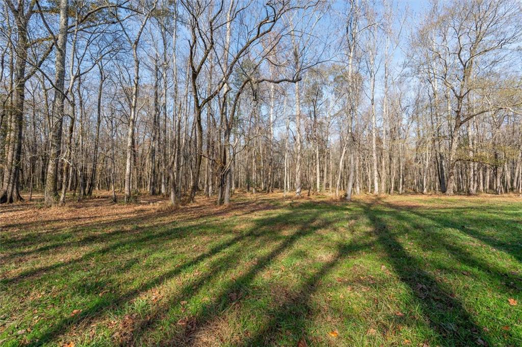 1585 Hays Mill Road Carrollton, GA 30117 - Photo 28 of 120