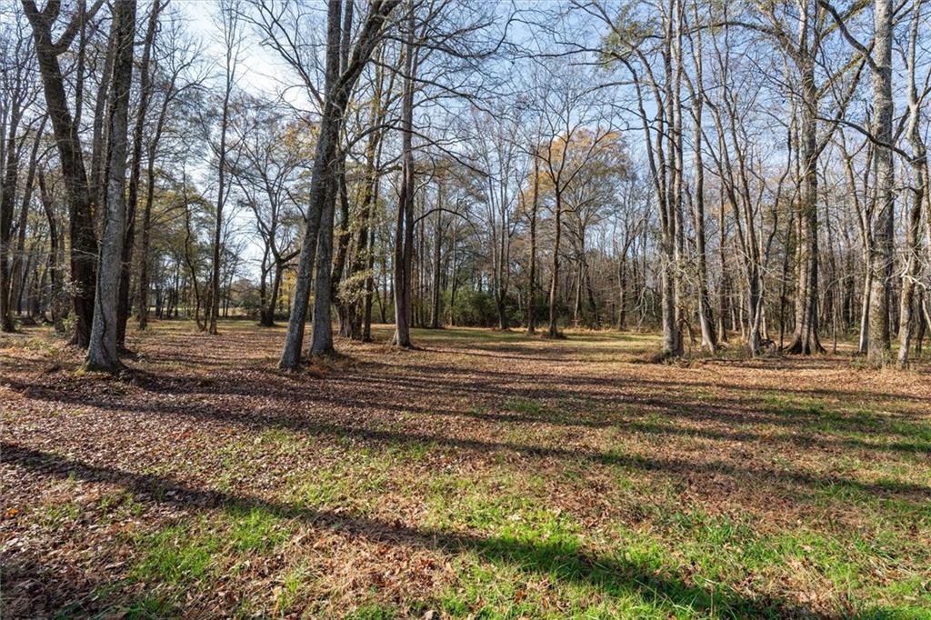 1585 Hays Mill Road Carrollton, GA 30117 - Photo 29 of 120