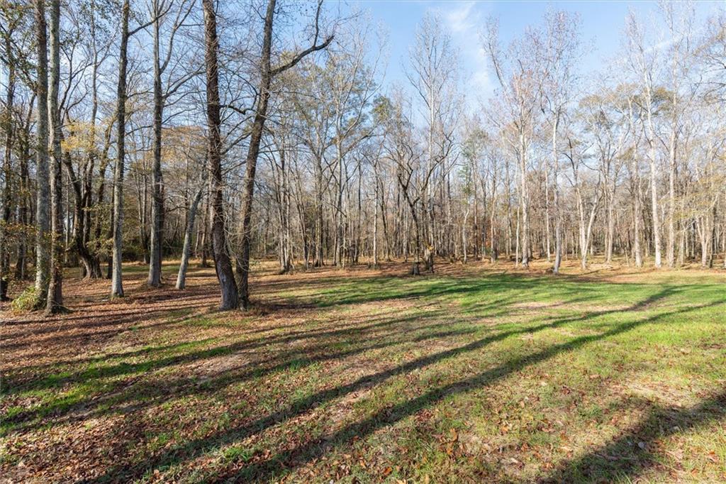 1585 Hays Mill Road Carrollton, GA 30117 - Photo 30 of 120