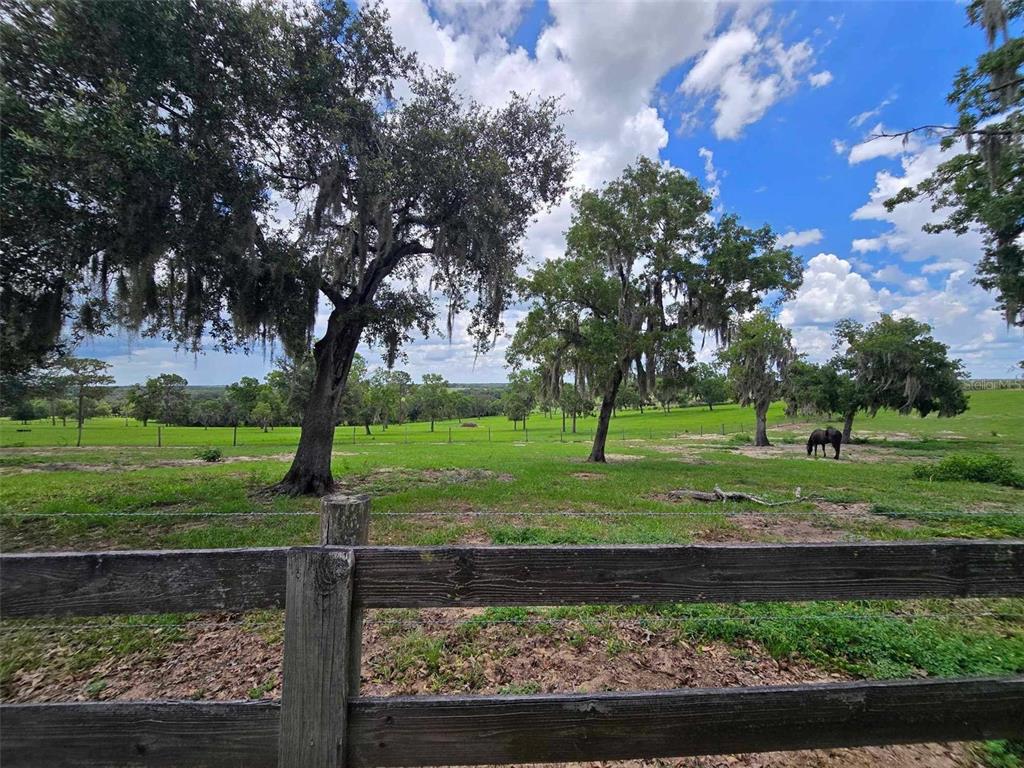 5757 Trask Road Fort Meade, FL 33841 - Photo 61 of 63
