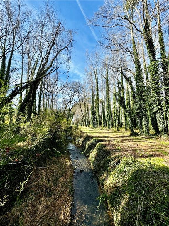 81 Hughes Dairy Road Lindale, GA 30147 - Photo 9 of 10