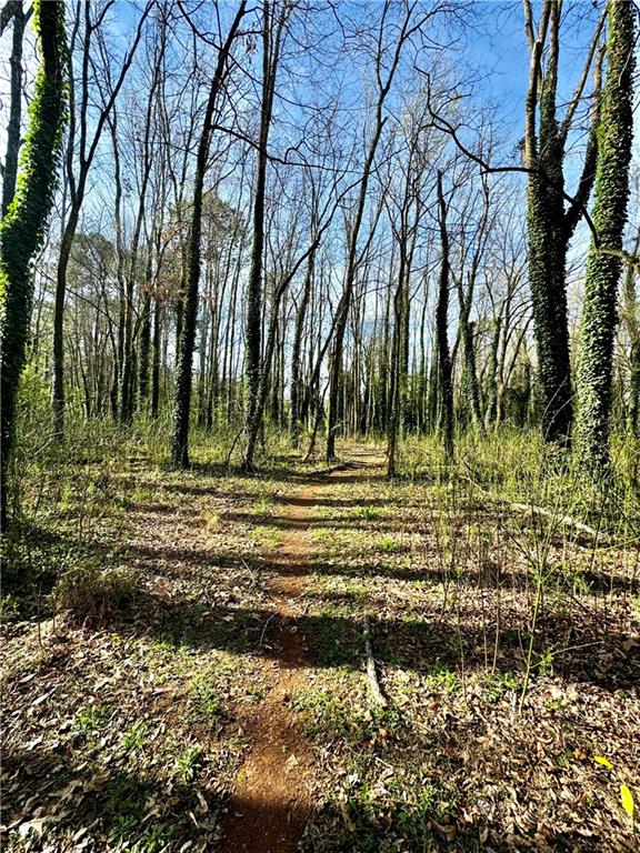 81 Hughes Dairy Road Lindale, GA 30147 - Photo 10 of 10