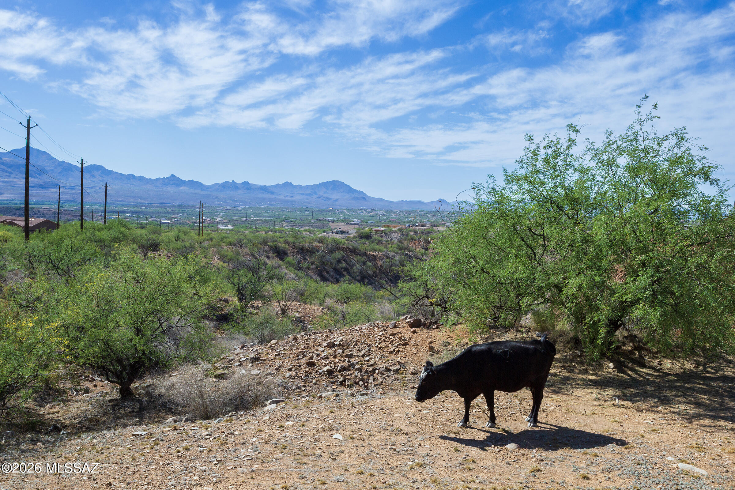 290 Via Mantaraya Rio Rico, AZ 85648 - Photo 41 of 50