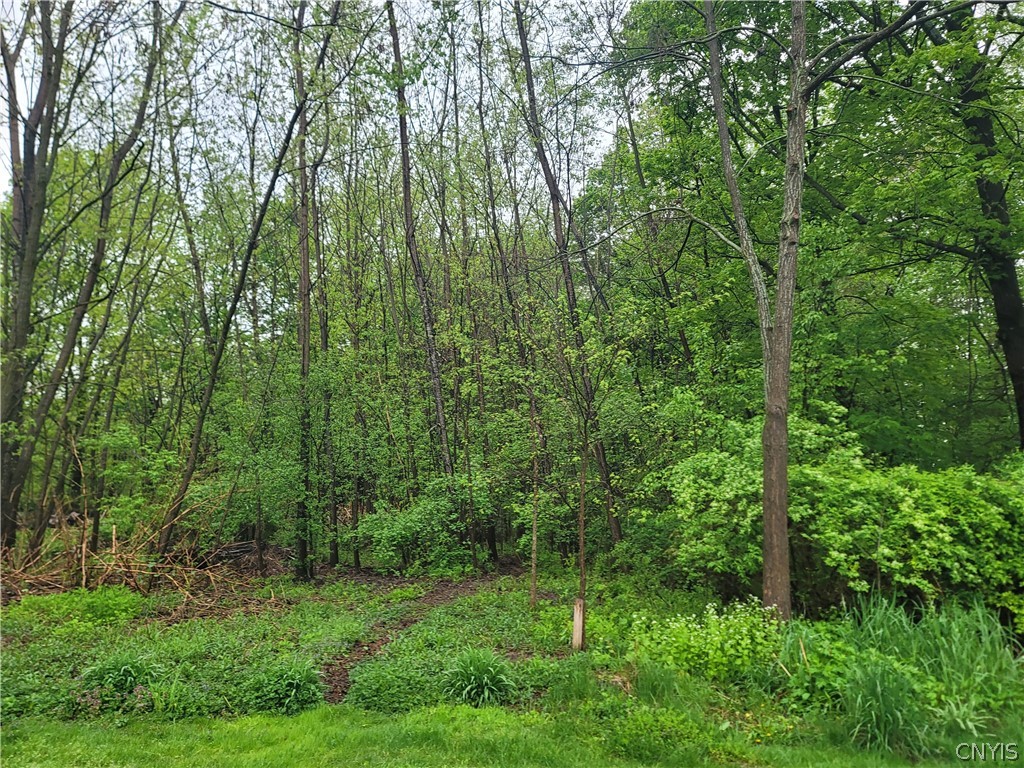 4 R Mistral Circle Liverpool, NY 13090 - Photo 17 of 50