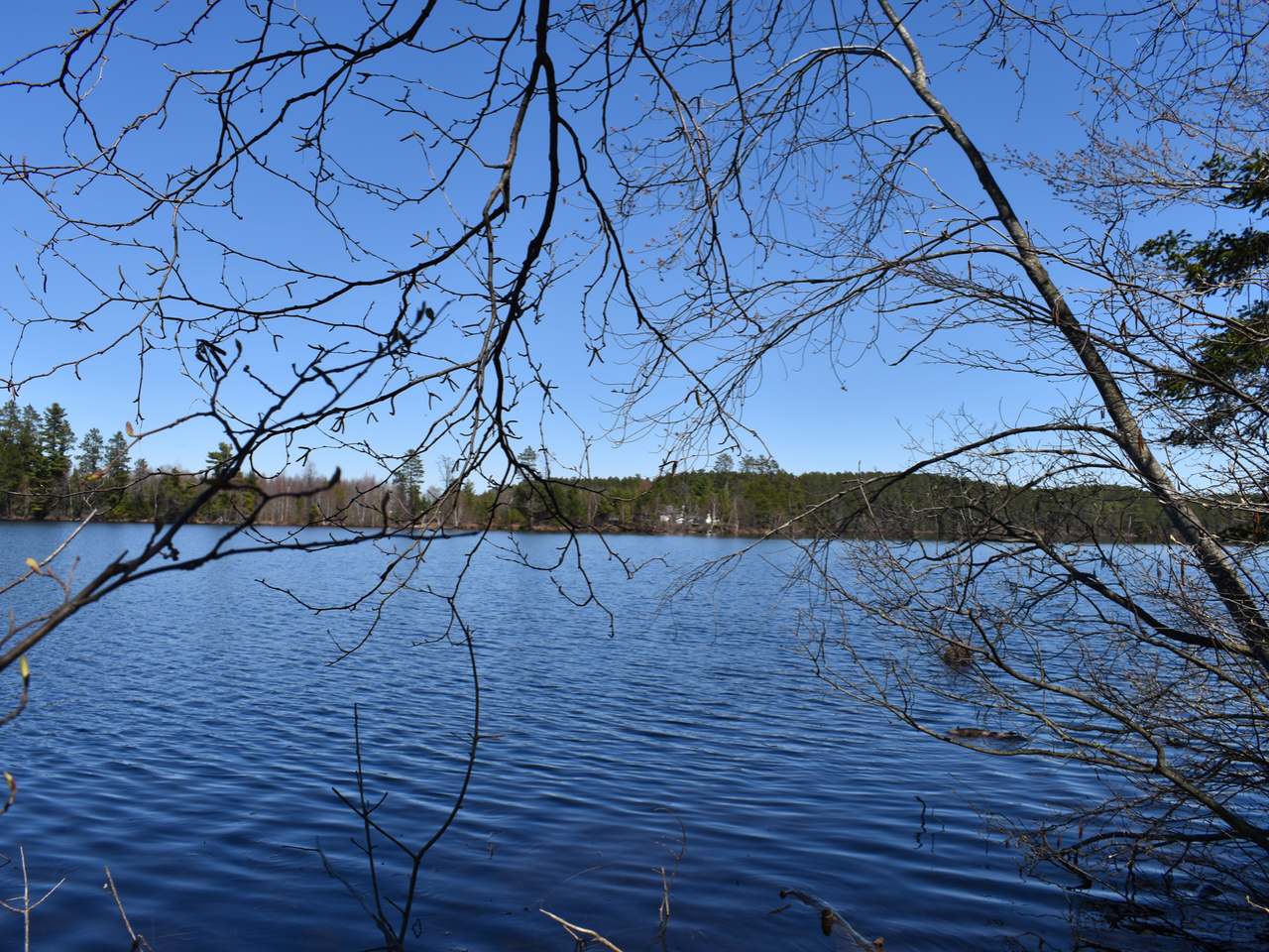 Lot 8 Pfeifer Road Tomahawk, WI 54487 - Photo 19 of 25 Gallery Image 19
