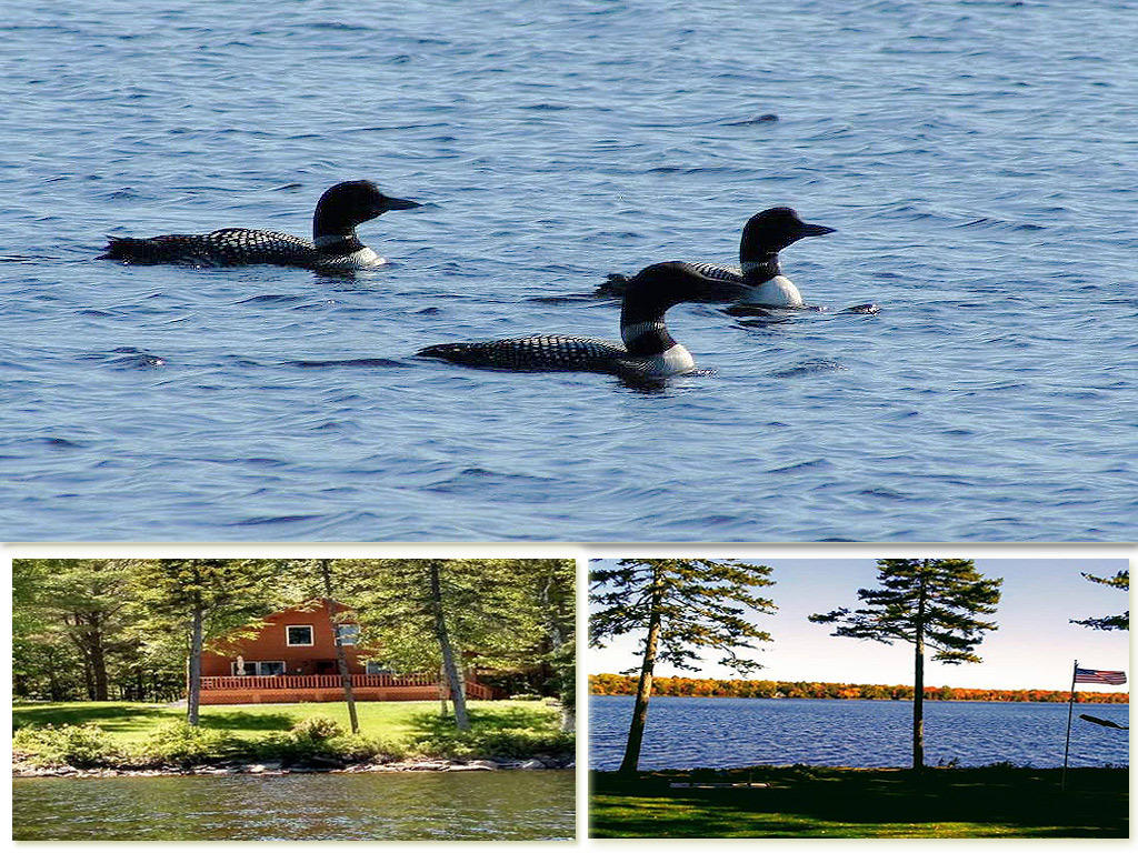 137 Picnic Point Road South Brookton, ME 04413 - Photo 3 of 34 lake-property-me