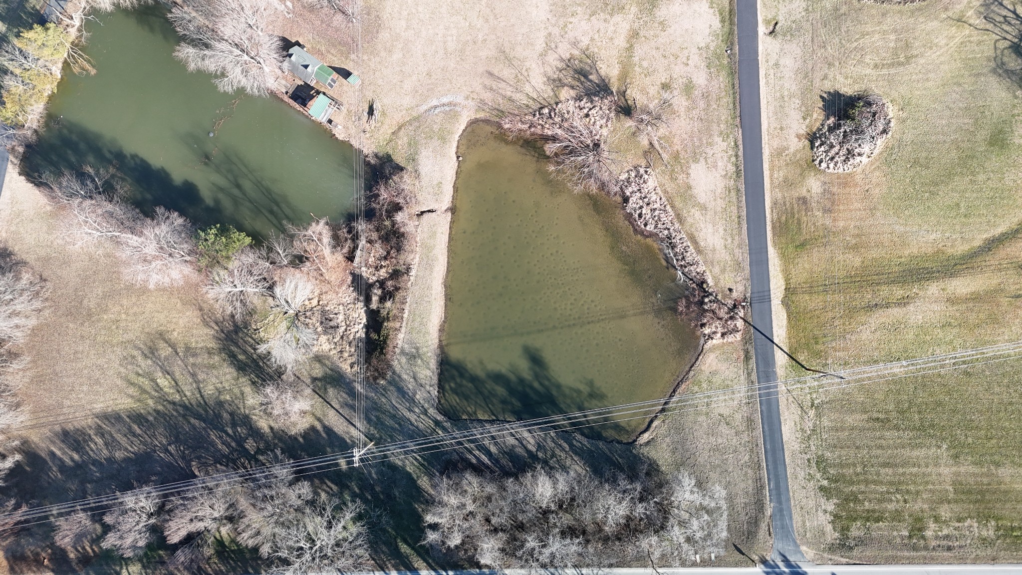 1706 Benders Ferry Road Mount Juliet, TN 37122 - Photo 66 of 79 a view of a bird bath