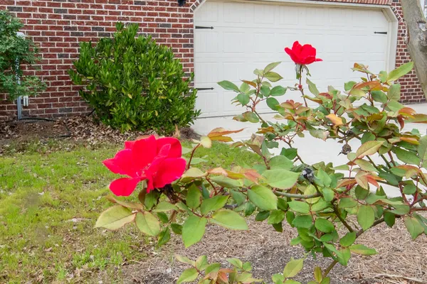 $539,900 | 2403 Sunflower Drive, Evans, GA 30809