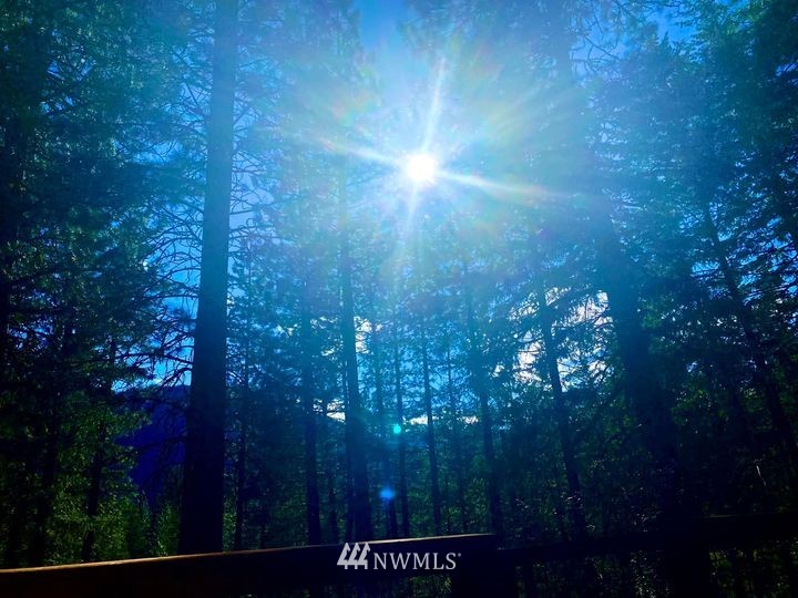 7 Highland Meadows Road Winthrop, WA 98862 - Photo 1 of 1 a view of a forest