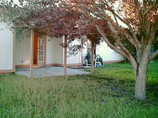 a view of backyard with green space