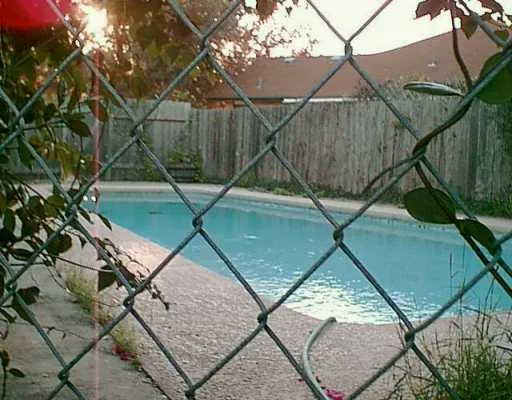 a view of a backyard