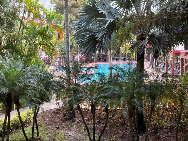 a view of a palm trees