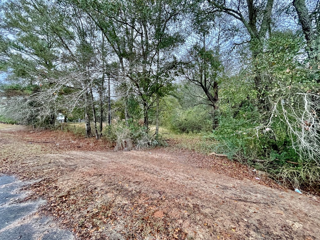 1429 Cecil Varnum Road Dothan, AL 36301 - Photo 33 of 35 Gallery Image 33