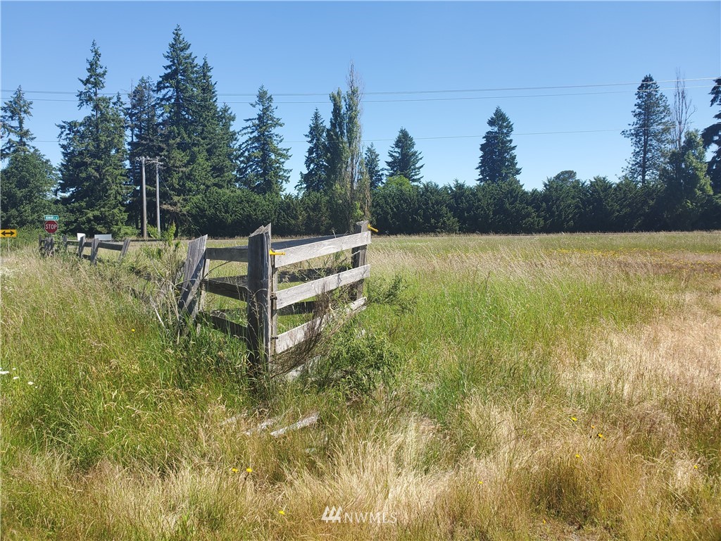 18740 Denmark Street Southwest Rochester, WA 98579 - Photo 1 of 9