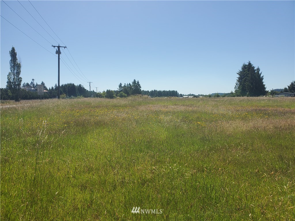 18740 Denmark Street Southwest Rochester, WA 98579 - Photo 3 of 9