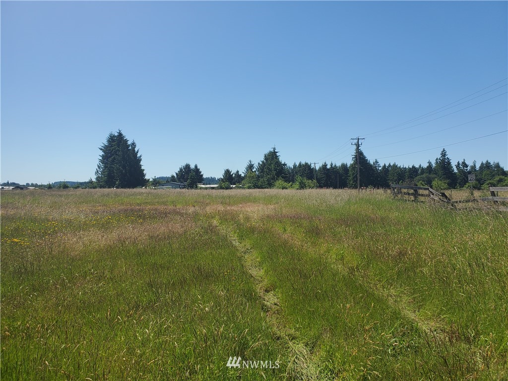18740 Denmark Street Southwest Rochester, WA 98579 - Photo 4 of 9