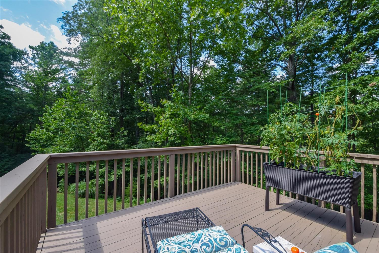 7508 Mt Chestnut Road Roanoke, VA 24018 - Photo 28 of 36 28-7508 Mount Chestnut-28