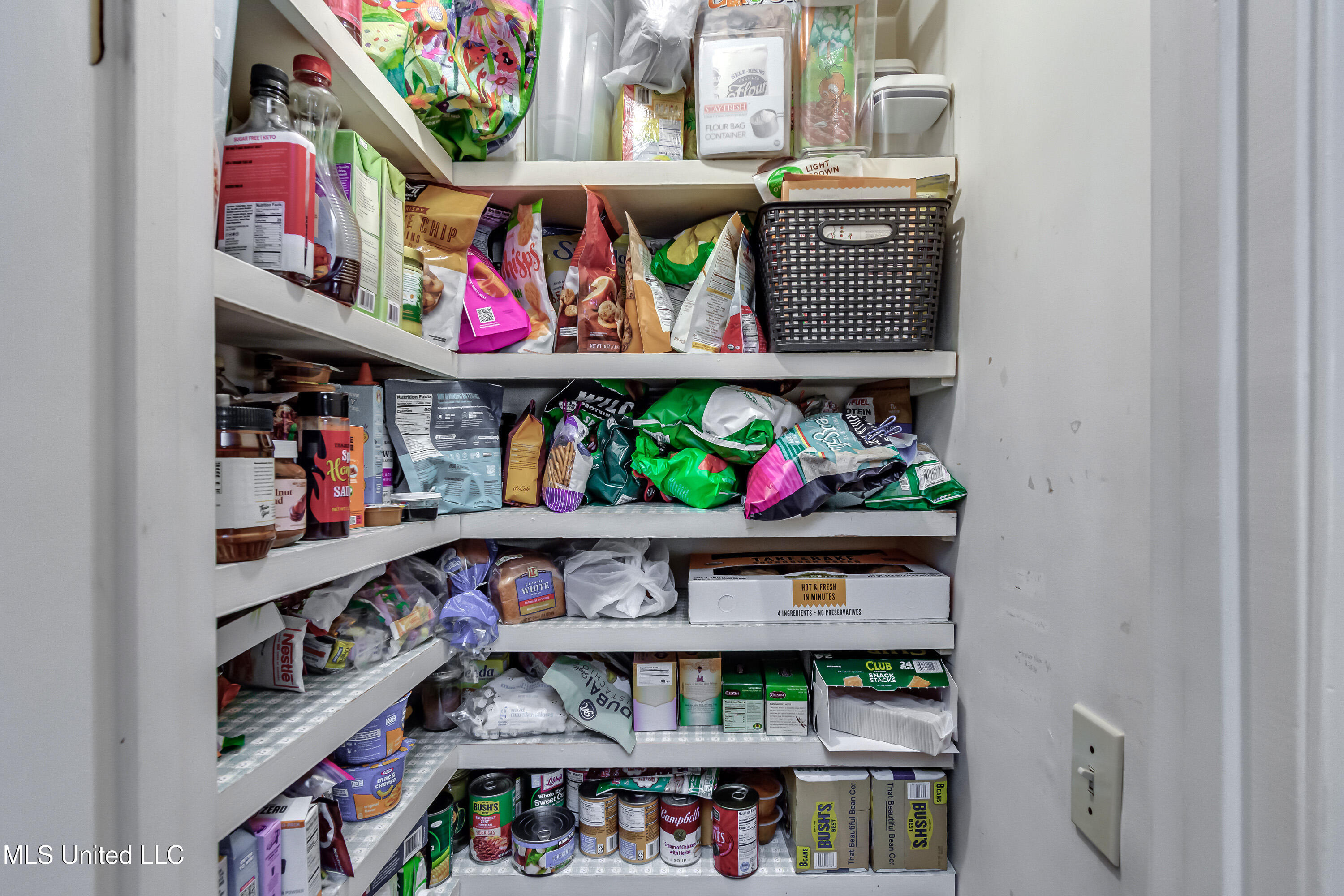 539 Dixton Drive Brandon, MS 39047 - Photo 33 of 92 539 Dixton Dr-48