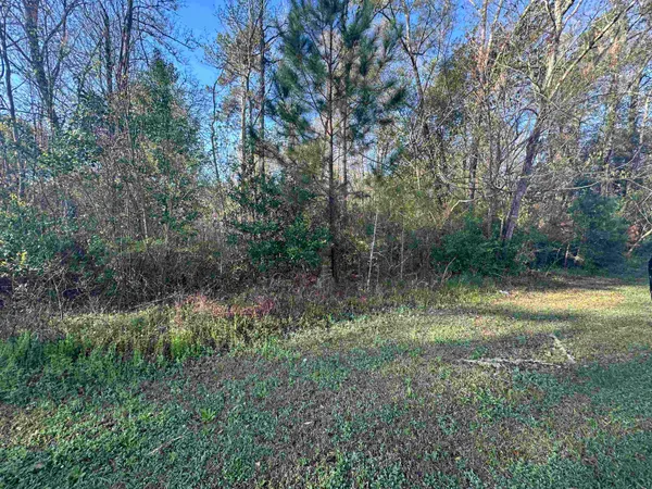 $25,000 | Xx Crayfish Road, Chattahoochee, FL 32324