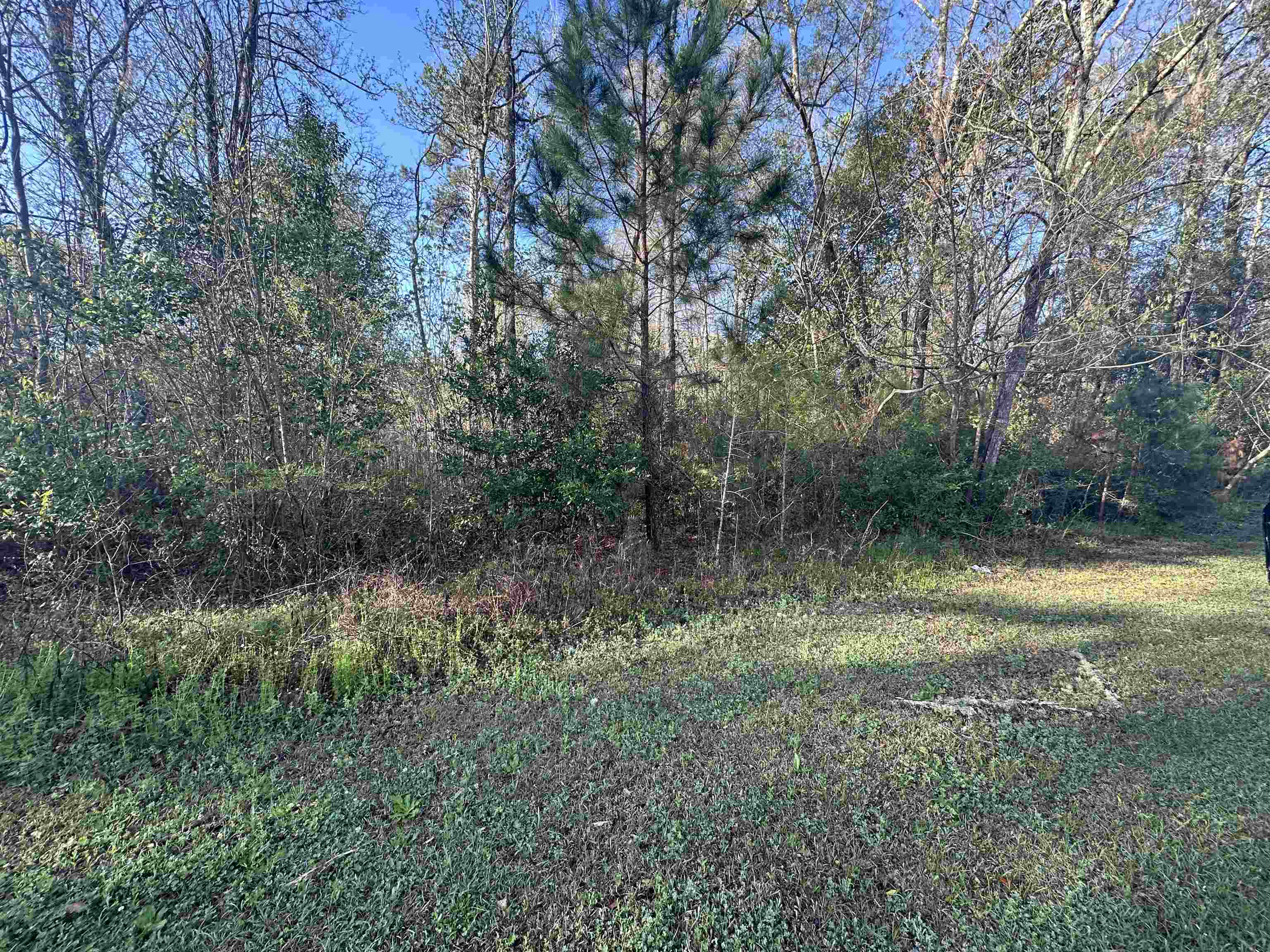 Xx Crayfish Road Chattahoochee, FL 32324 - Photo 1 of 7